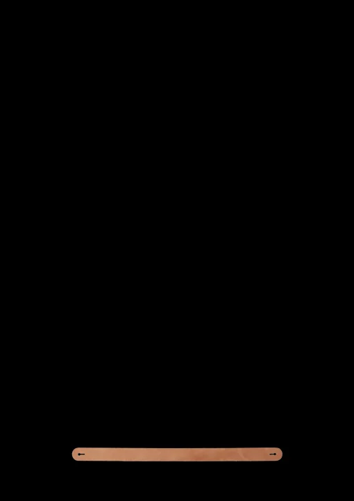 Holmegaard Design with Light Lærstropp – Natur 2,5 mm